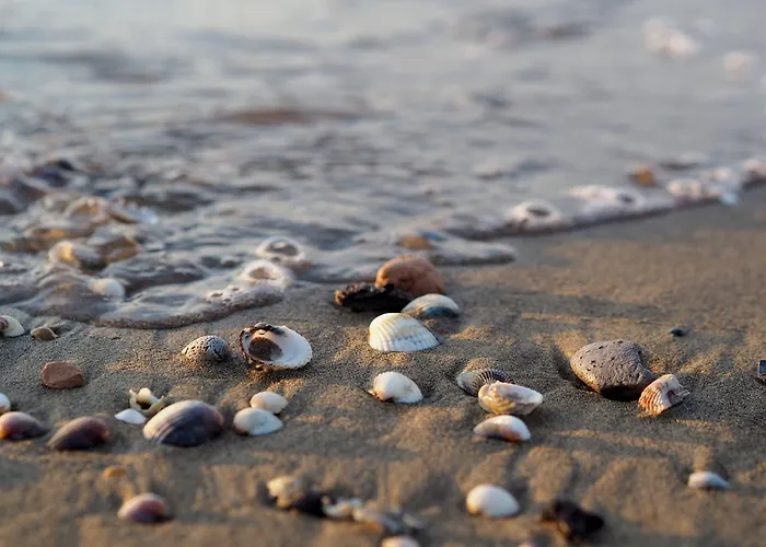 Διαμέρισμα Luminous Just Next To The Μπιμπιόνε