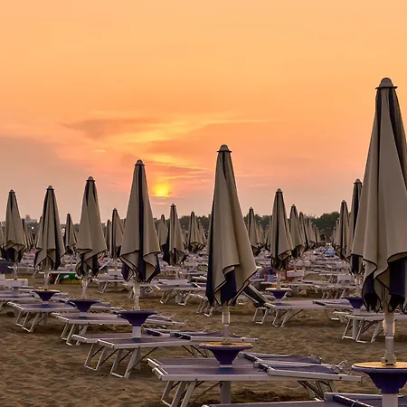 Luminous Just Next To The Bibione